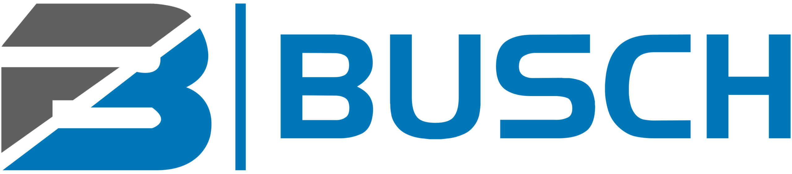 BUSCH Logo